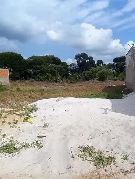 Terreno Perto do Francês.  - Foto 3