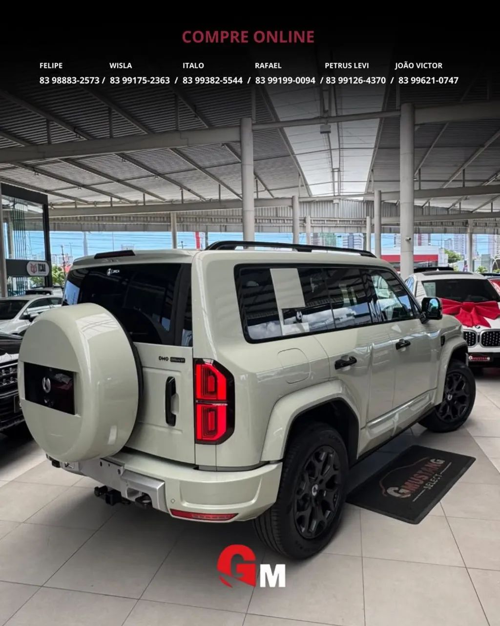 Denza B5 4WD, foto 10 de 20