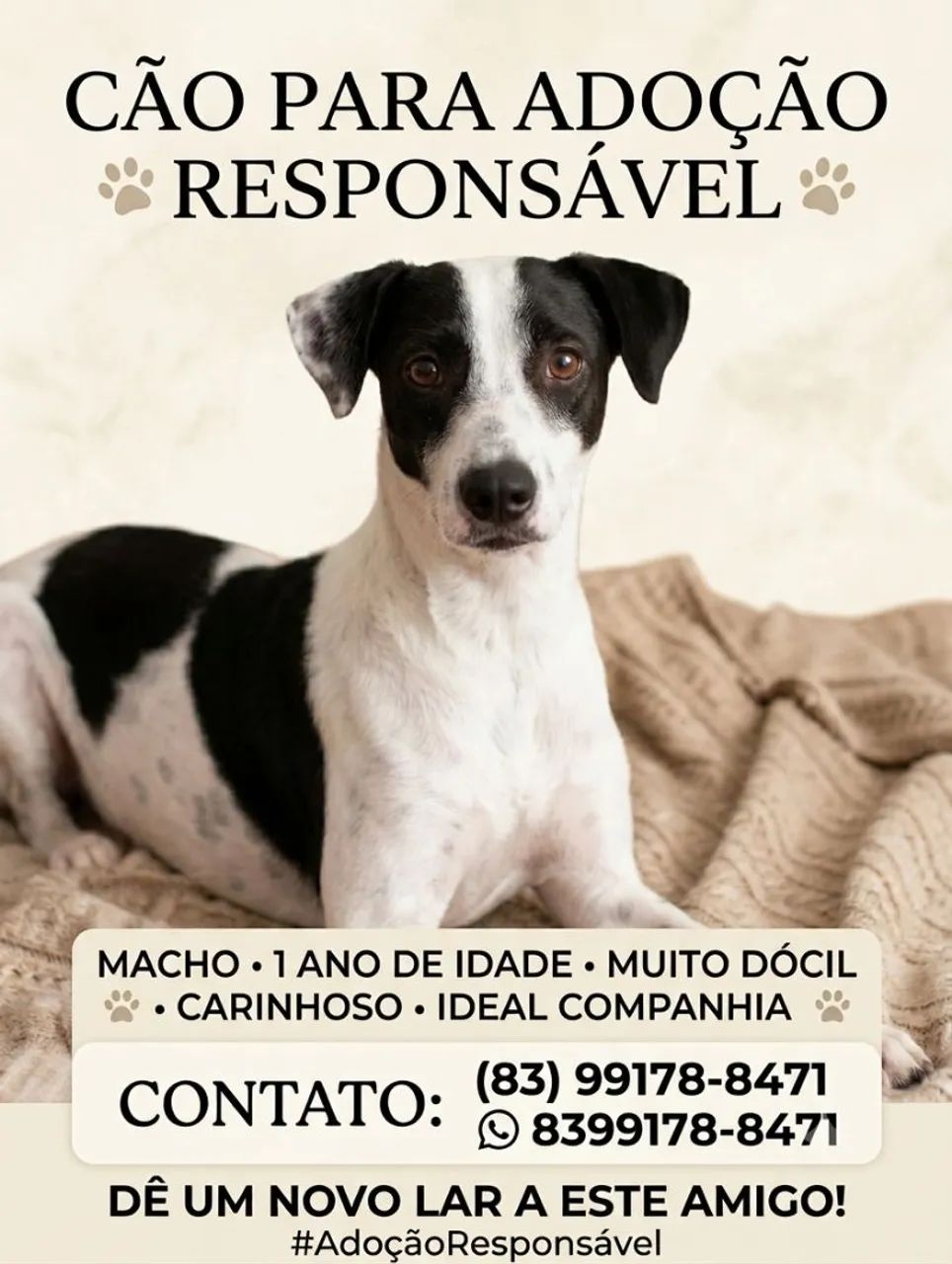 Doação 