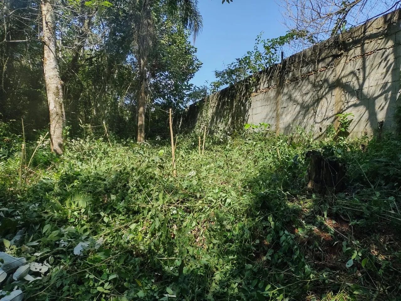Terreno - Foto 5