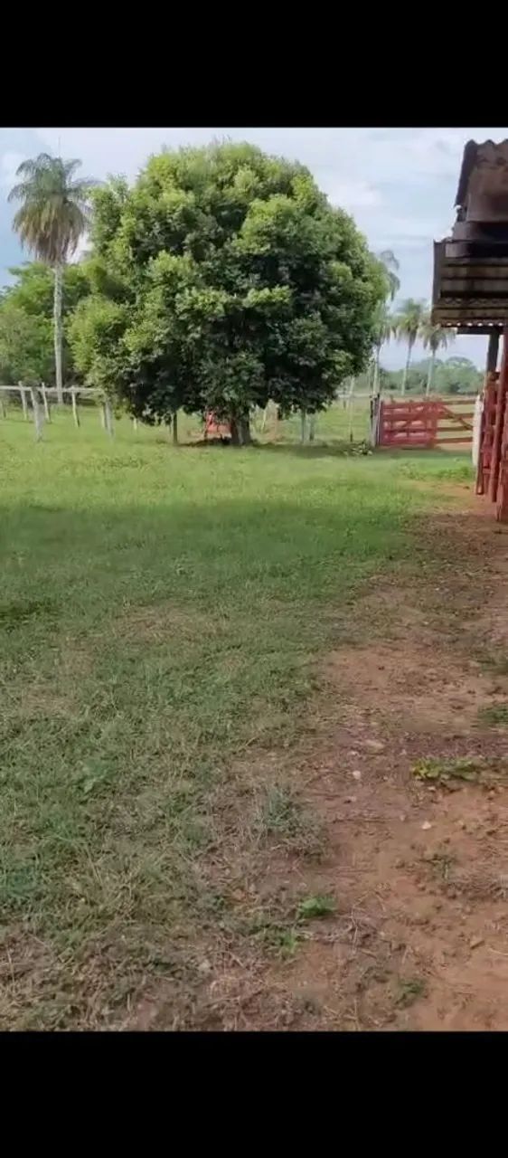 Fazenda no Maranhão  - Foto 2