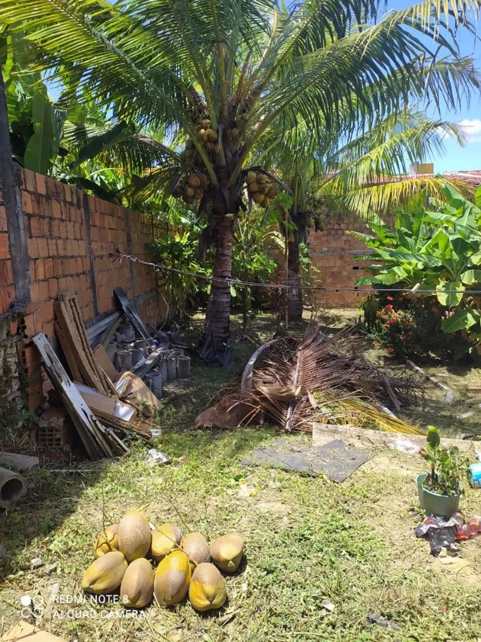 Casa para alugar  - Foto 4