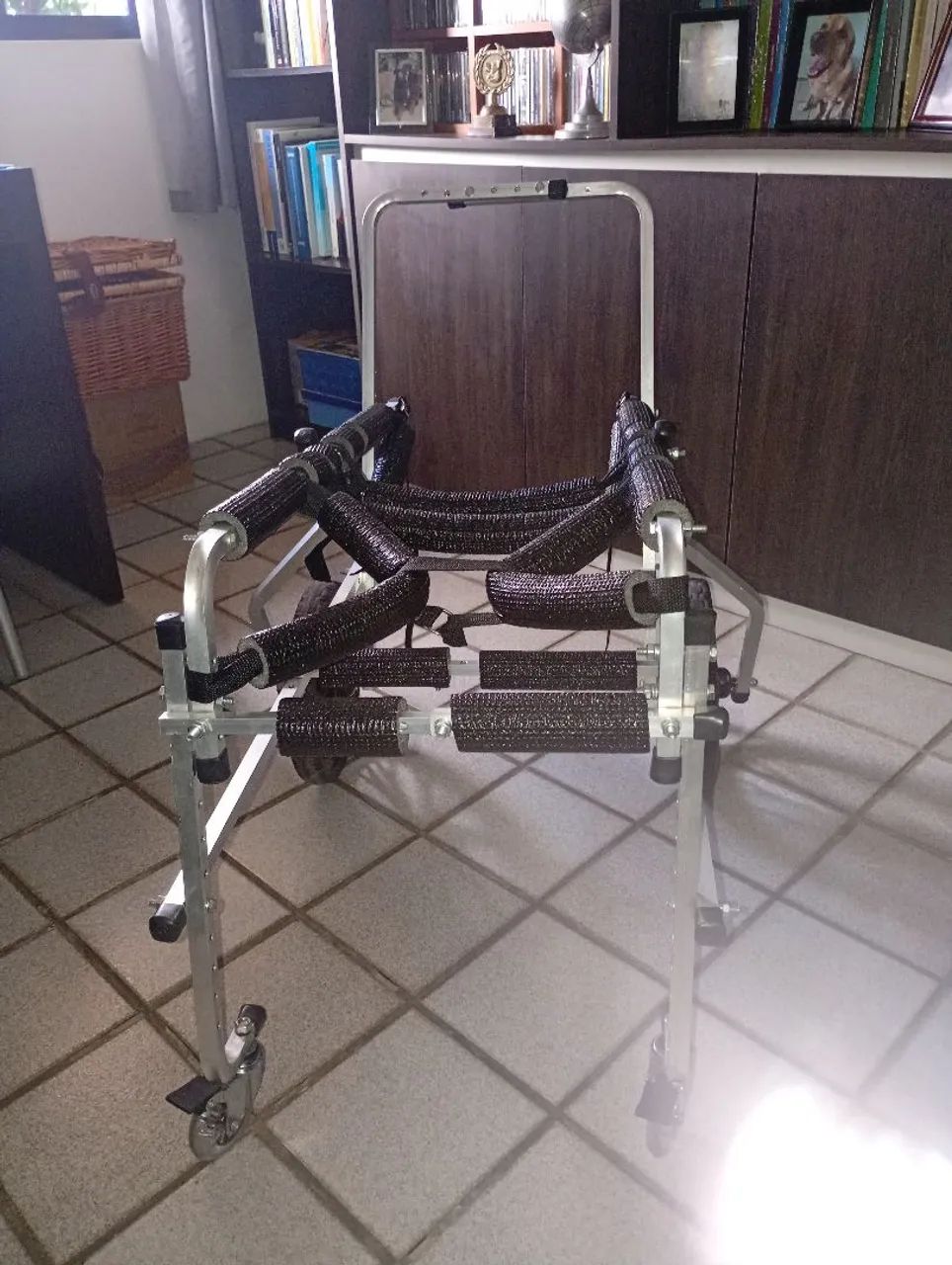 Cadeira de rodas pra cachorro 