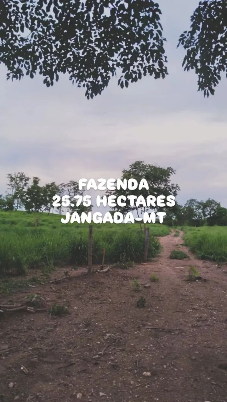 FAZENDA EM JANGADA-MT - Foto 2