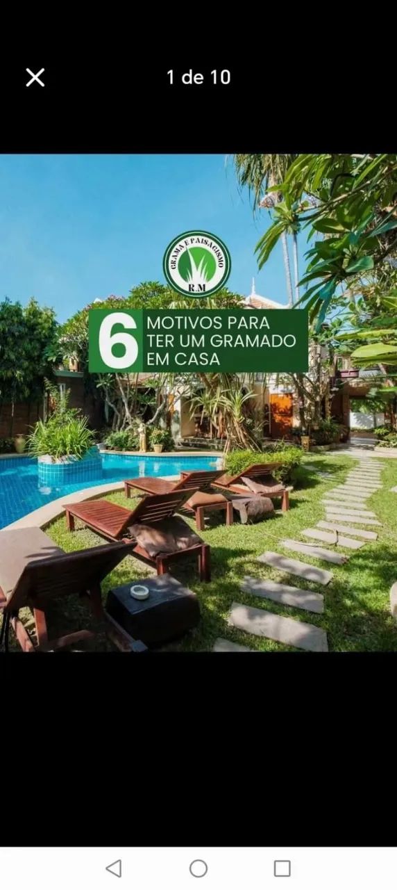 Grama Bermuda Ideal Para Campo Society e Futebol 