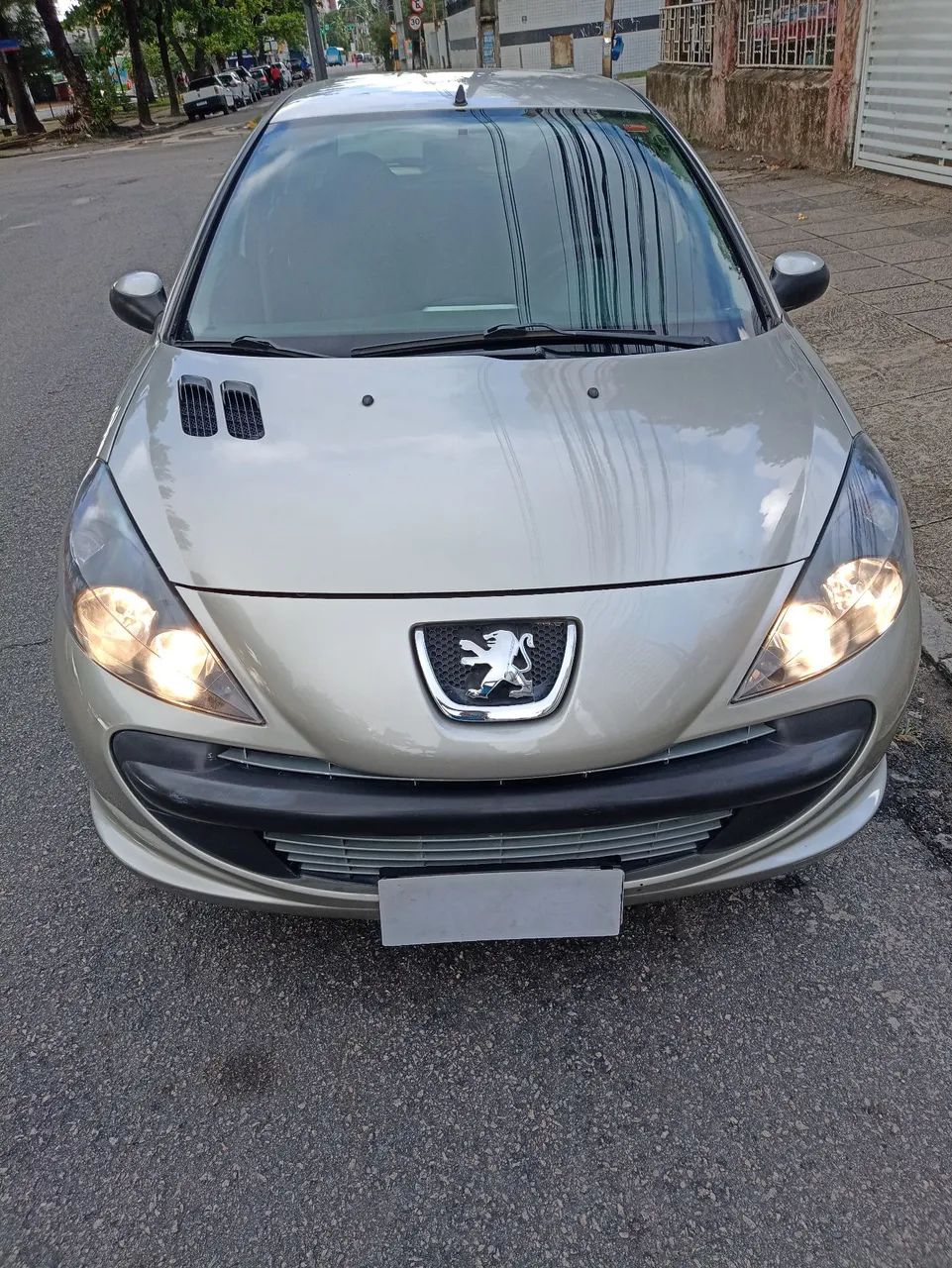 Peugeot 207 207 XR 1.4 FLEX 8V 5P 2012