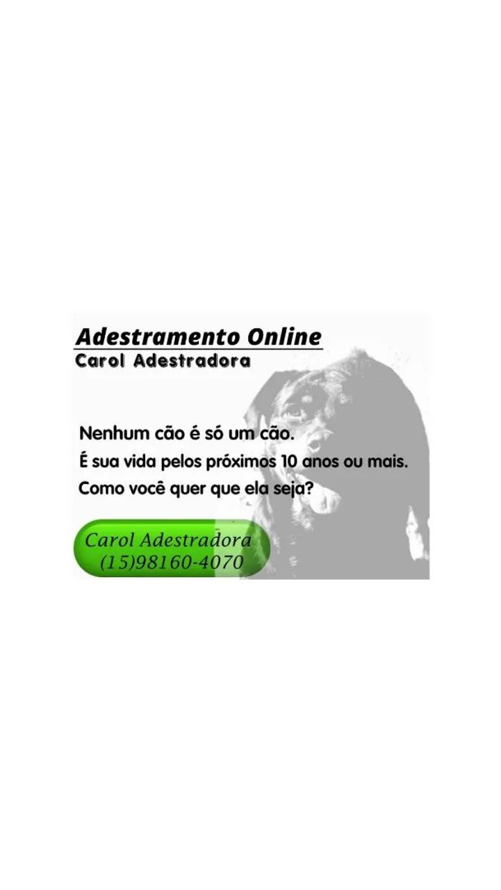 Adestramento Online