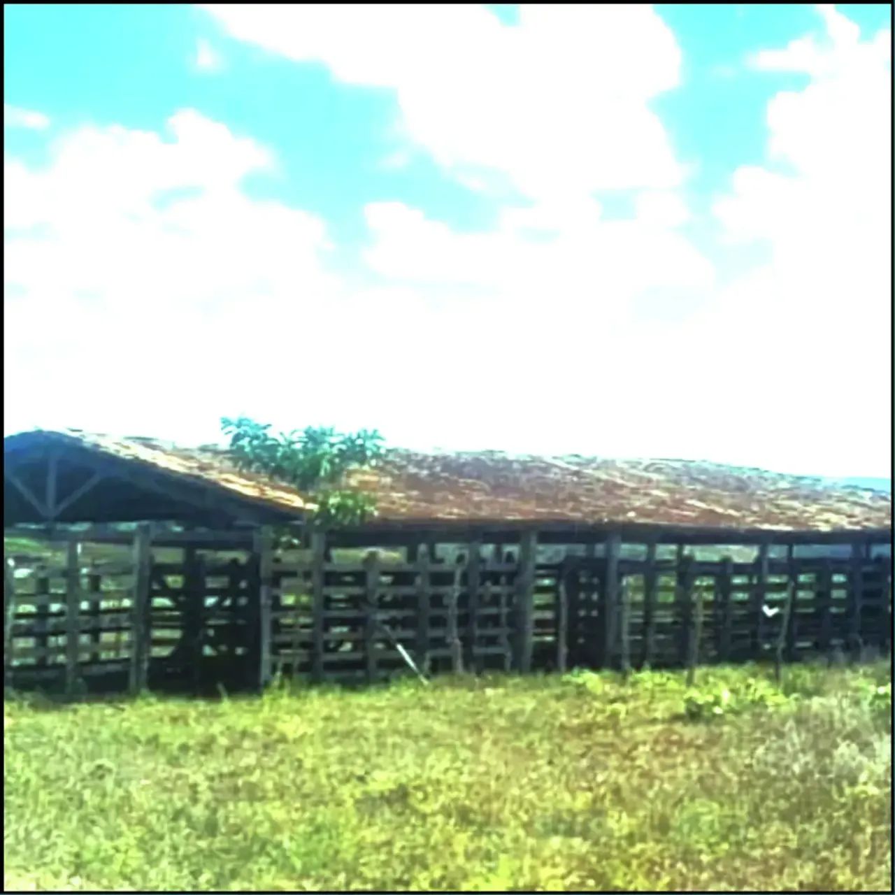 Fazenda de 250 tarefas - Cumbe - Foto 5