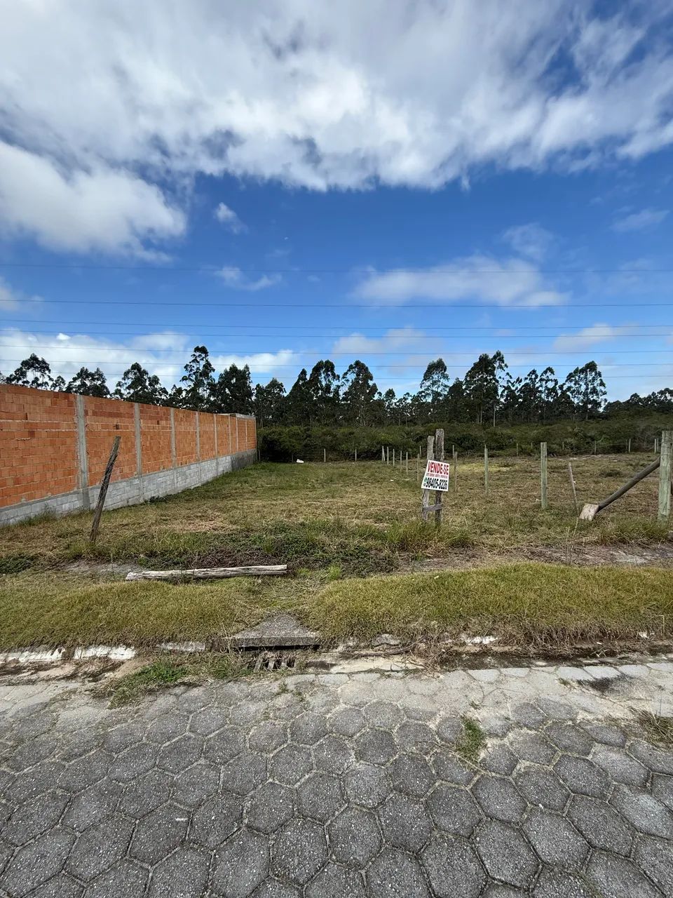 Lindo terreno de 359 metros bosque Imbituba  - Foto 3