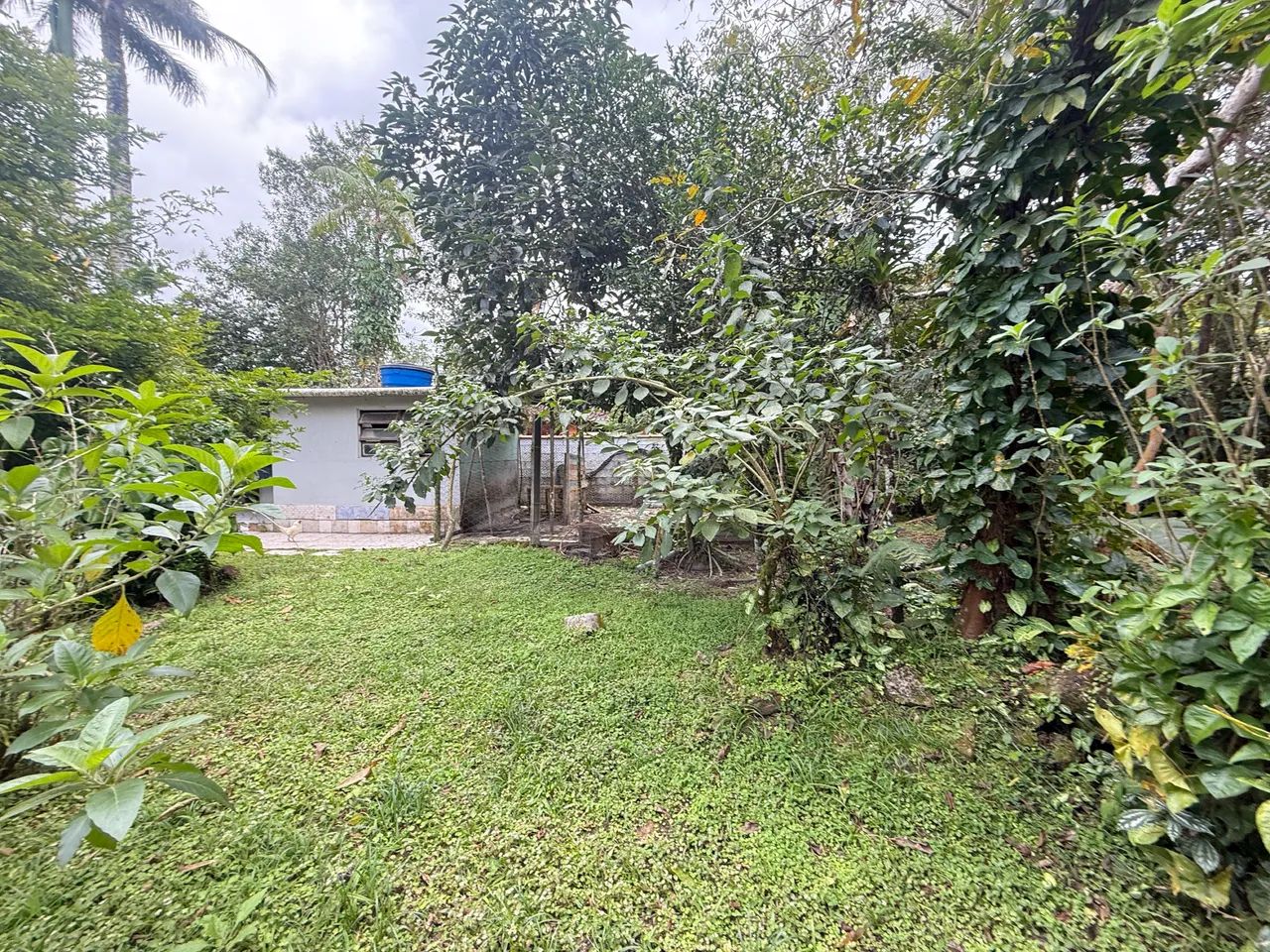 Foto - São Vicente - Vila Cascatinha