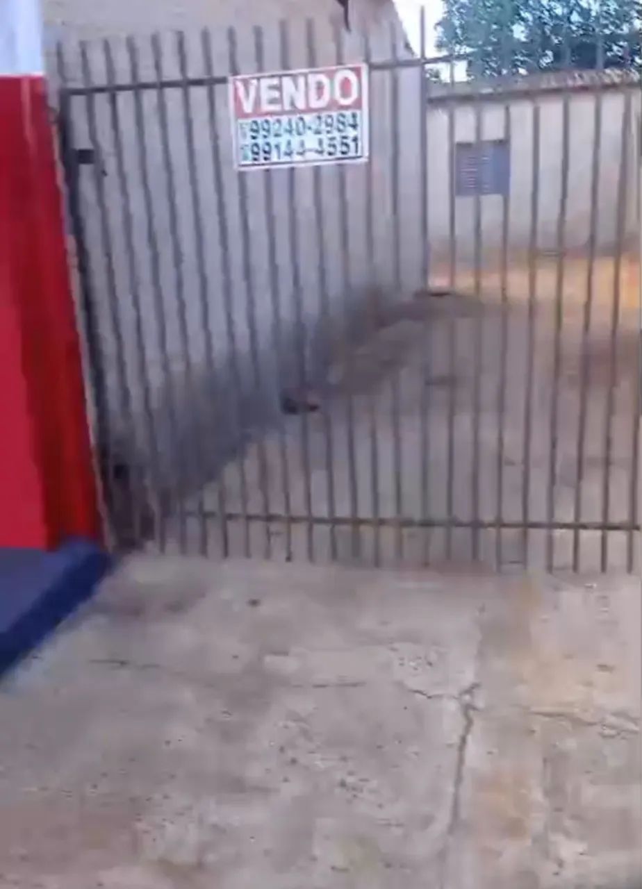 Alugo ou Vendo casa com excelente Salão Comercial 
