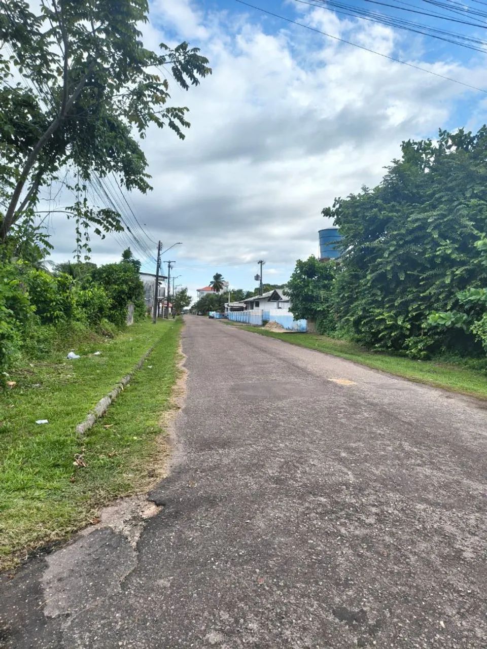 Terrenos em Salvaterra