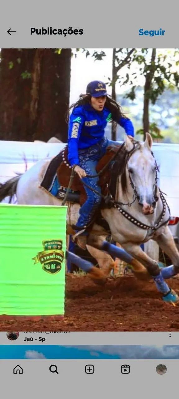 Cavalo quatro de minha 