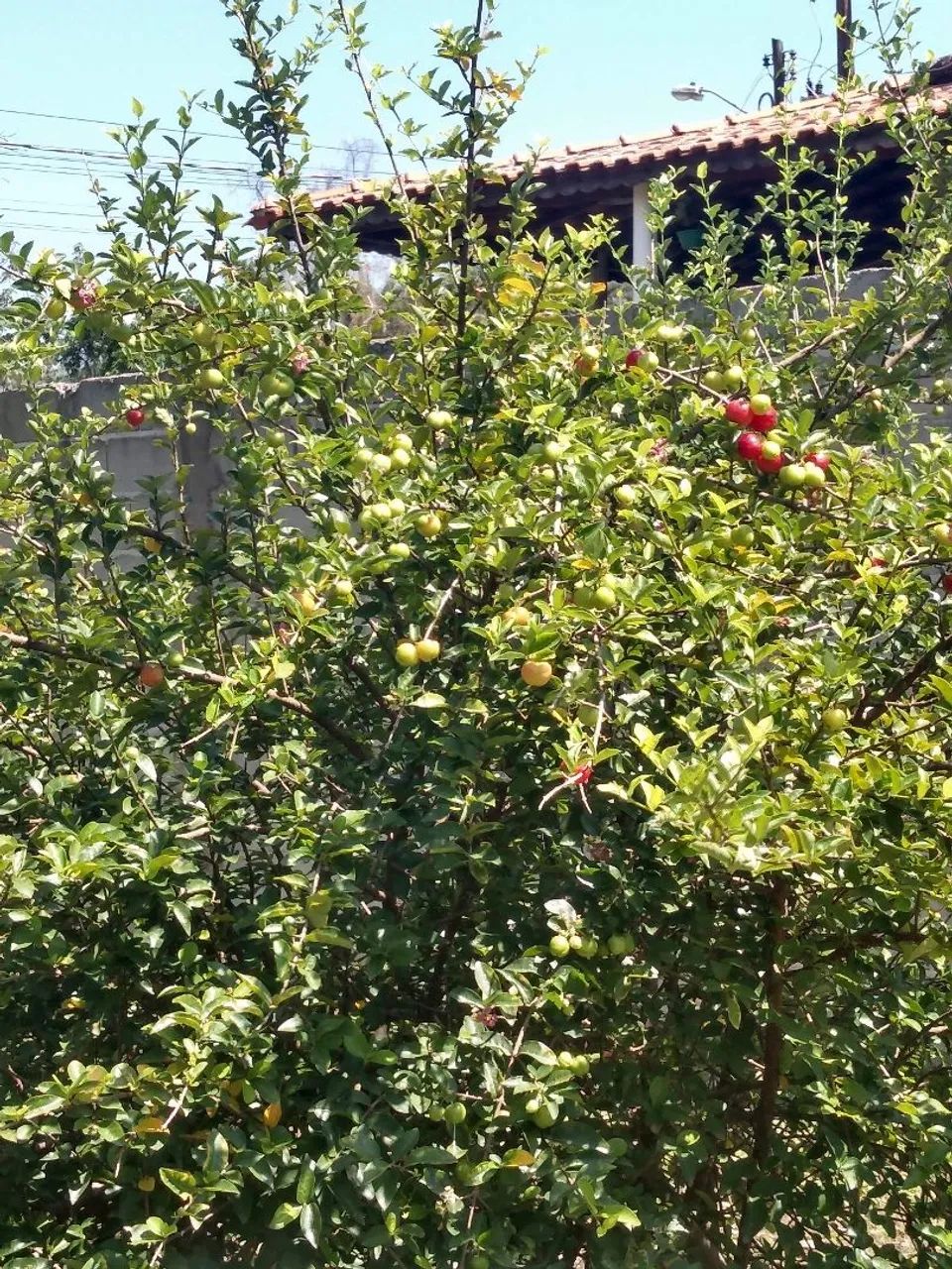 Casa a venda - Foto 3