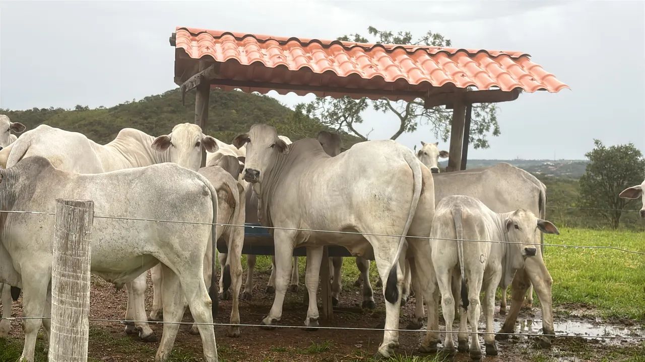 Vendo linda fazenda  - Foto 2