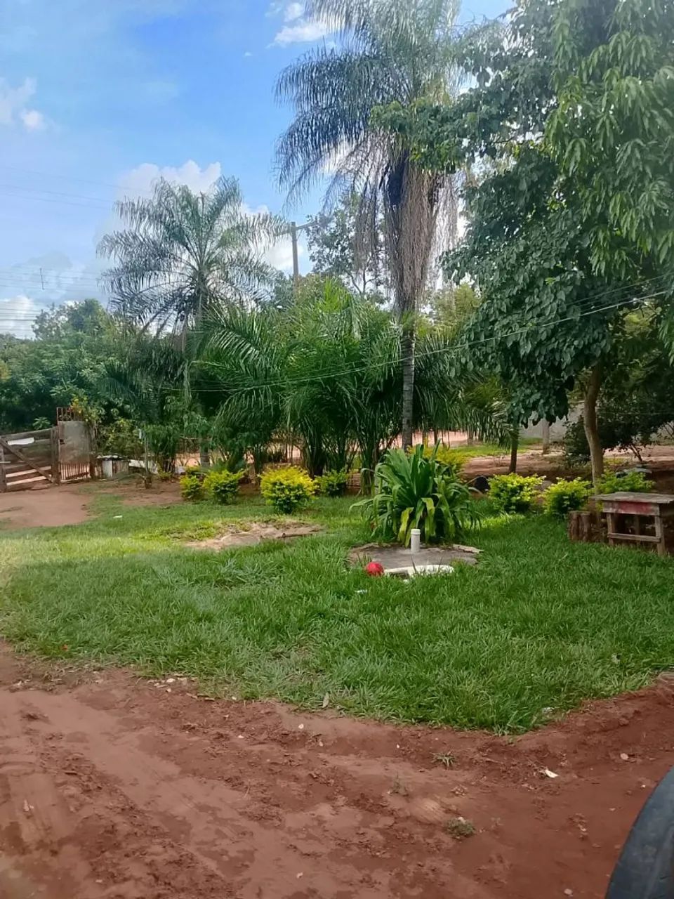 Chácara  - Foto 4