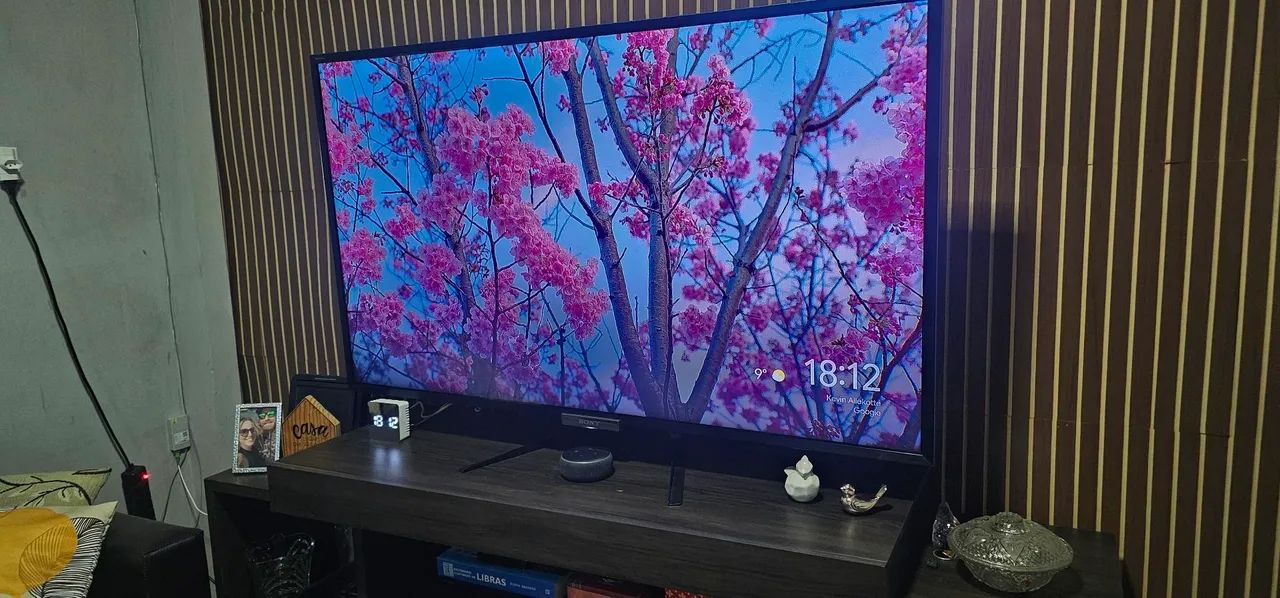 Vendo TV Sony Bravia 55polegadas 