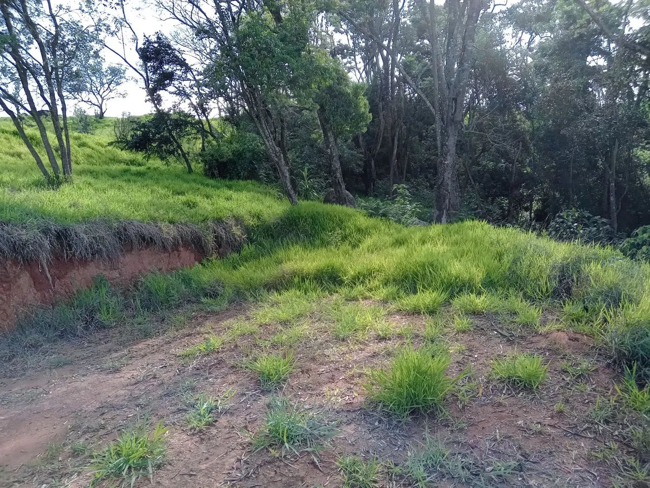 VENDO MEU TERRENO EM IBIUNA 1.100 METROS  - Foto 4