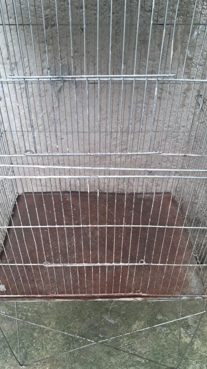 Viveiro para pássaros e Animais  - Foto 2
