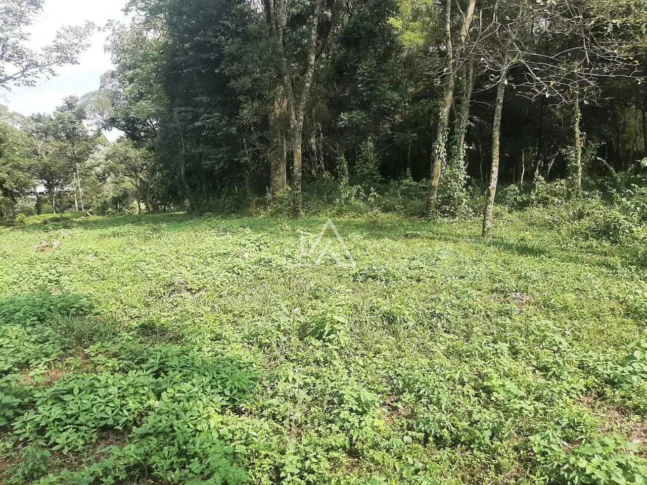 TERRENO NO BOQUEIRÃO - Foto 4