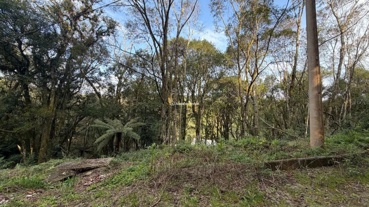 Terreno com Projeto em Canela! - Foto 2
