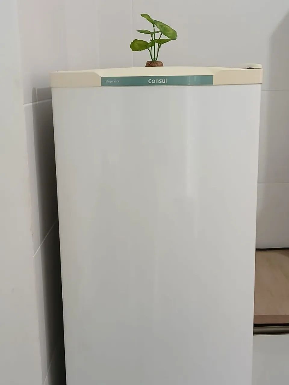 GELADEIRA CONSUL 1 PORTA - FUNCIONANDO PERFEITAMENTE - Foto 4