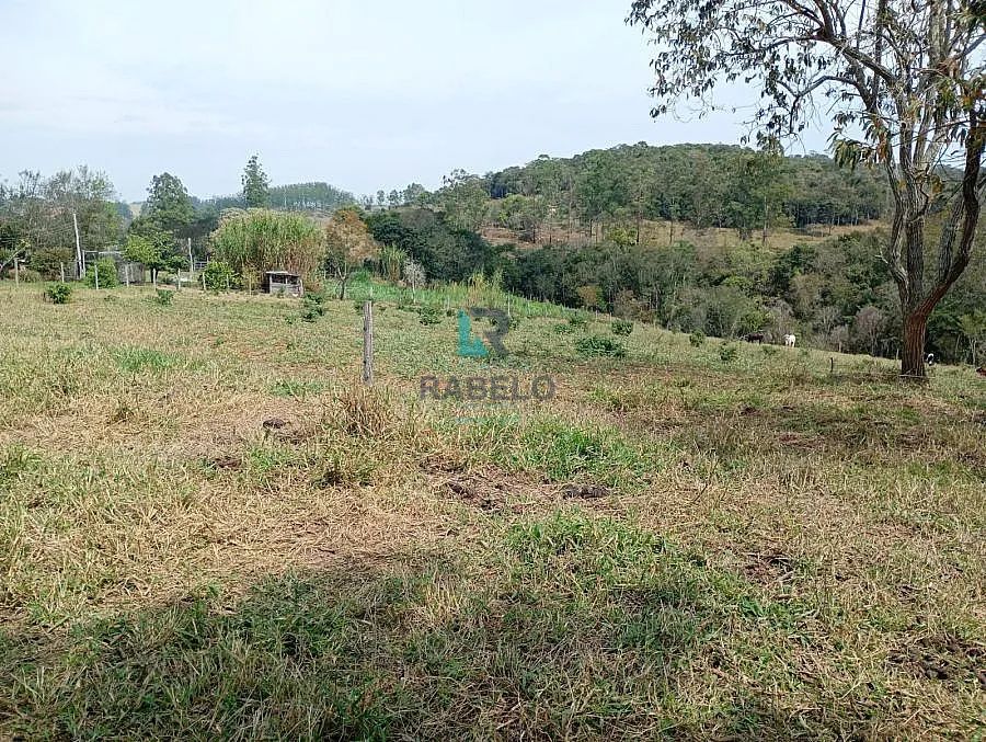 SÍTIO COM 2 ALQUEIRES À VENDA EM LAGOINHA-SP - Foto 2