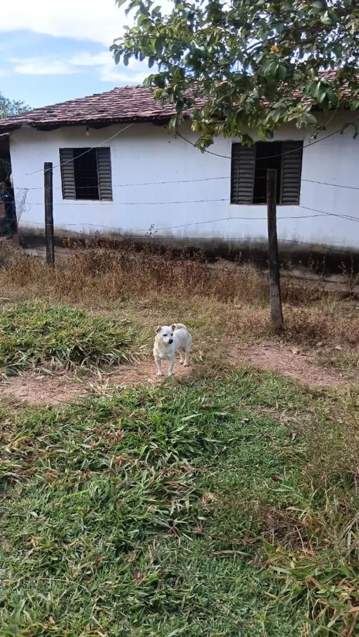 Fazenda a venda