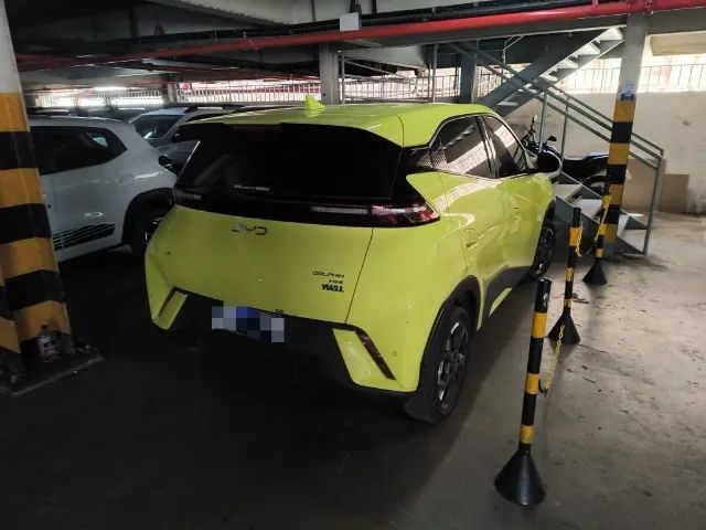 BYD Dolphin Mini (Elétrico) 2026 - Foto 3