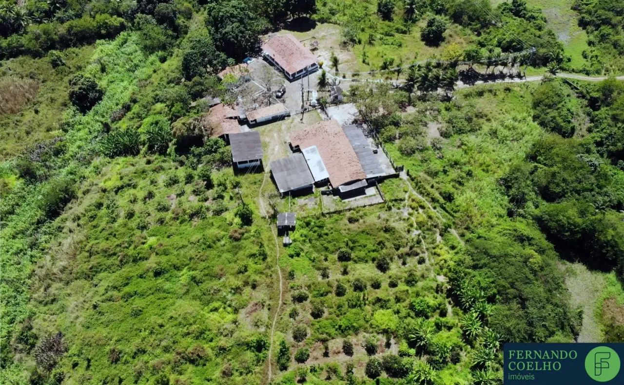 Fazenda de 23,0ha em Guaiúba-CE - Foto 2