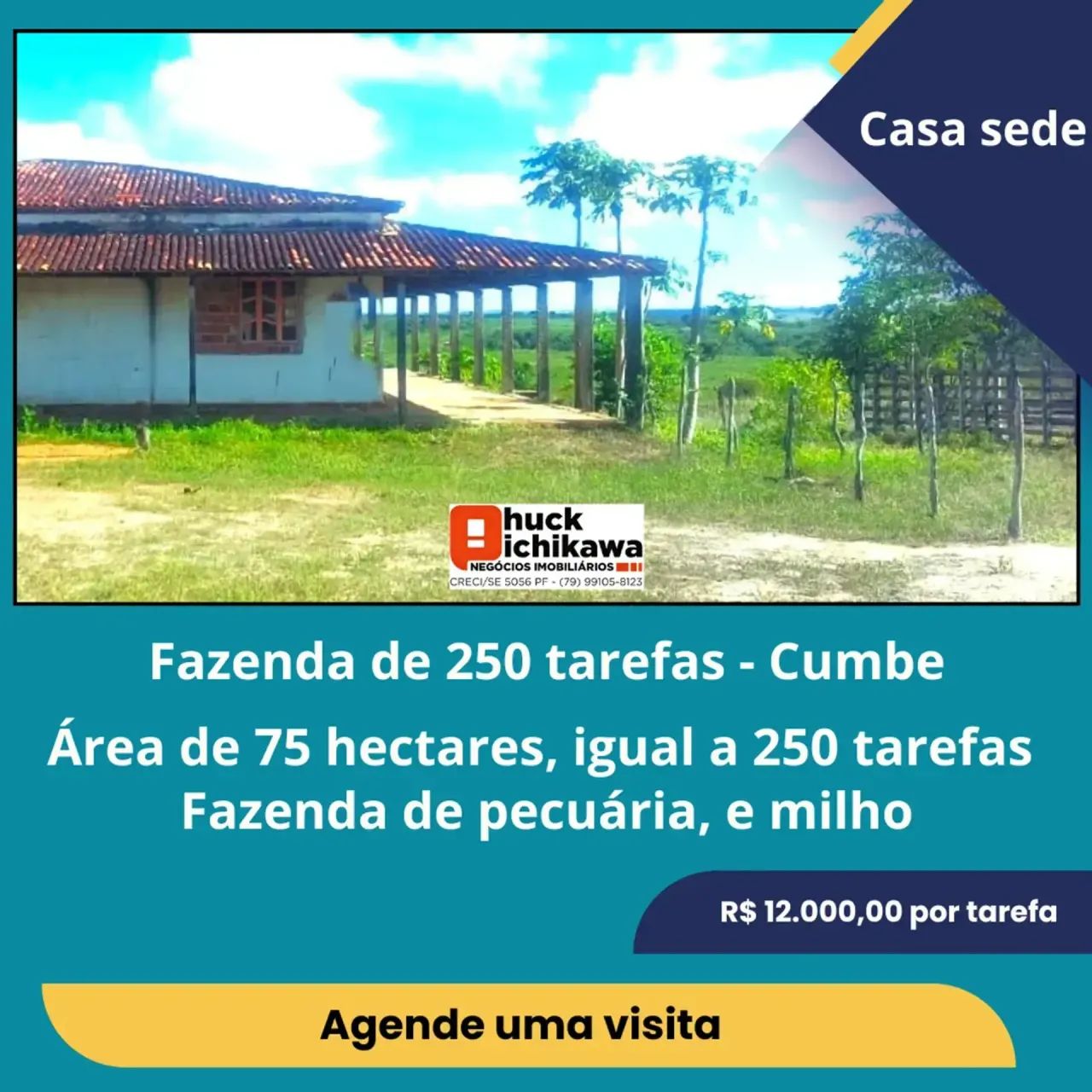 Fazenda de 250 tarefas - Cumbe - Foto 4