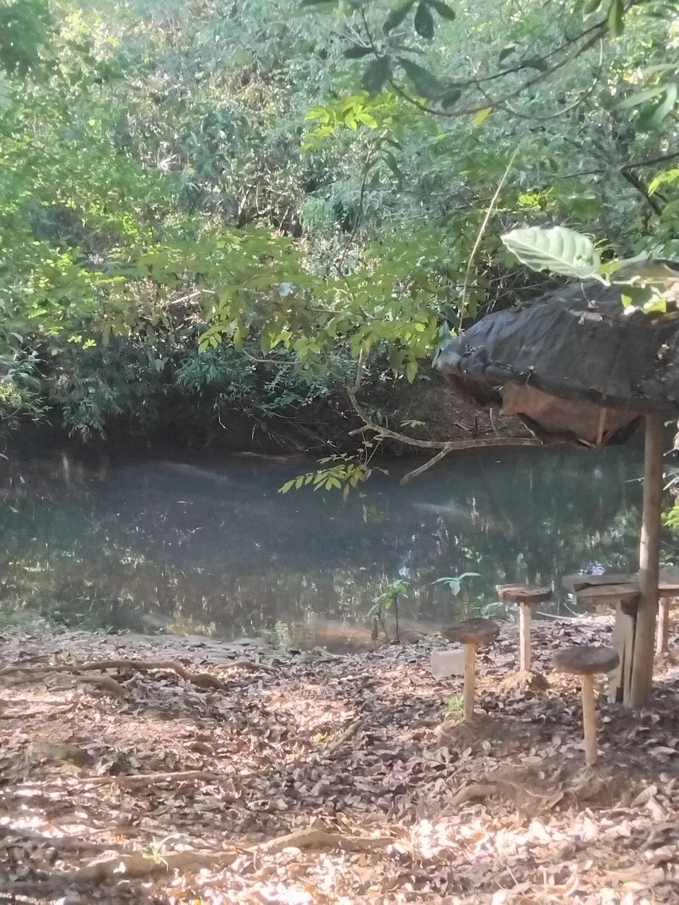 Foto - Bela Vista de Goiás - 