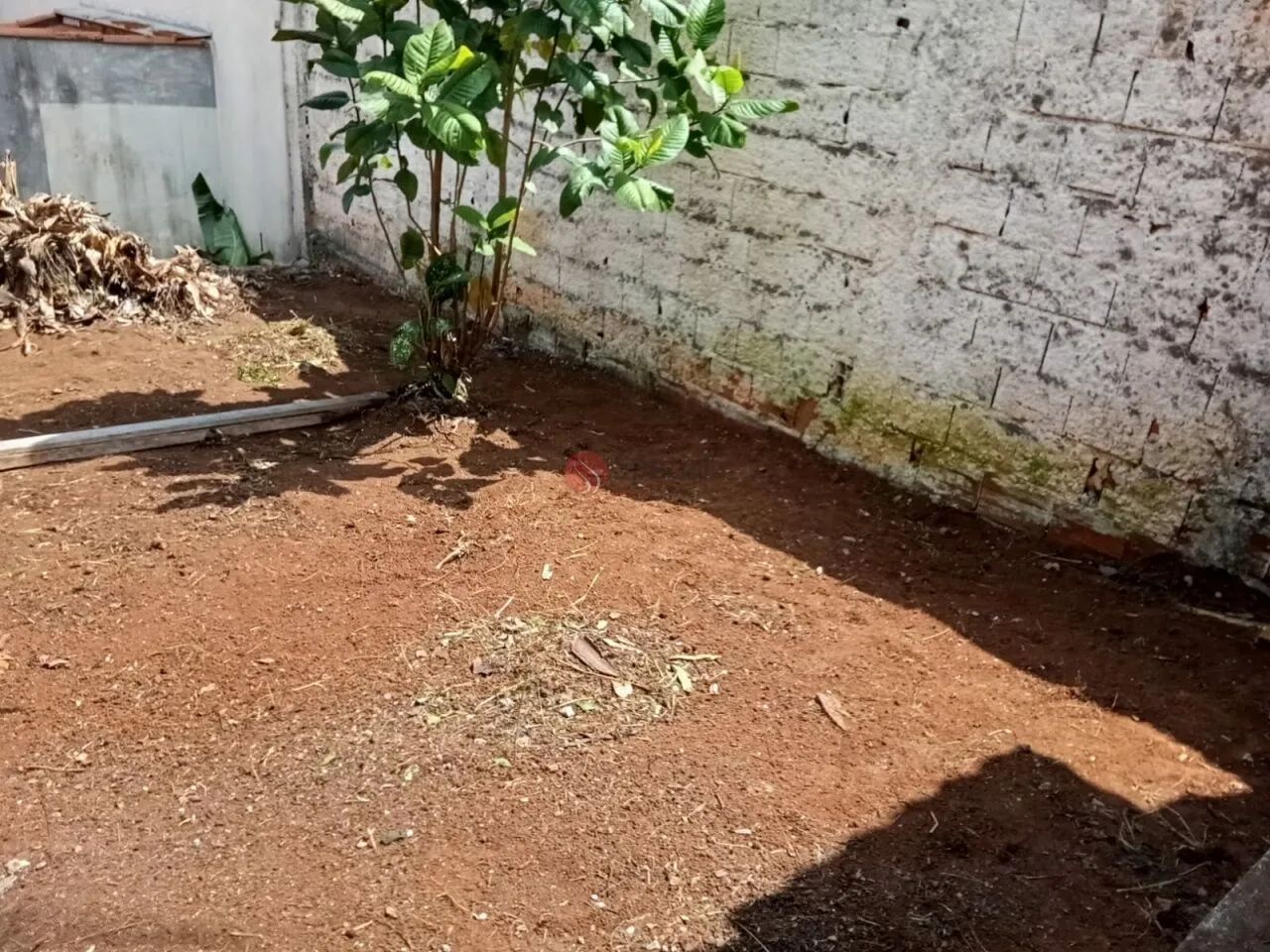 Terreno com casa 320 m² à venda na Vila Diva. - Foto 3