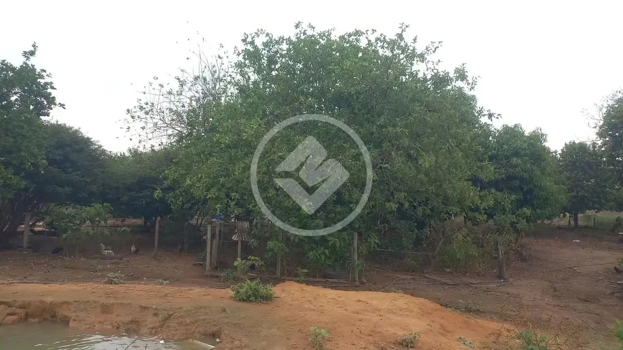 Goianápolis - Chácara de 4 Alqueires codigo: 266437 - Foto 5