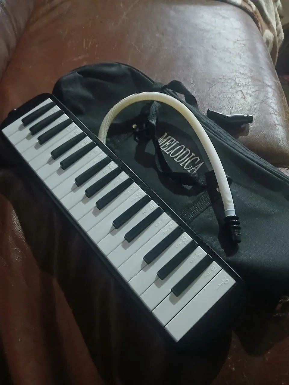 Escaleta Melodica