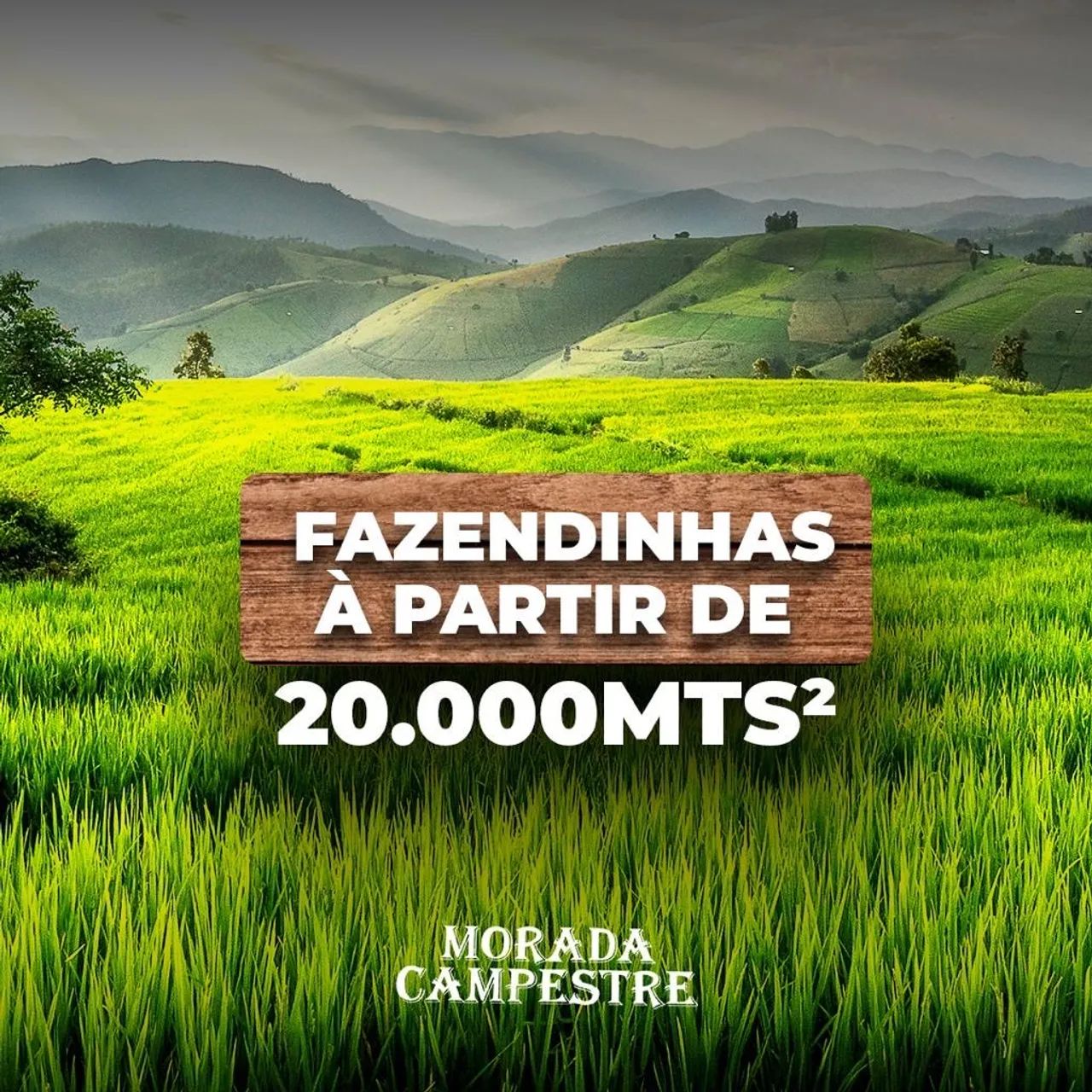 Vendo Gebas de 20.000m - Foto 4