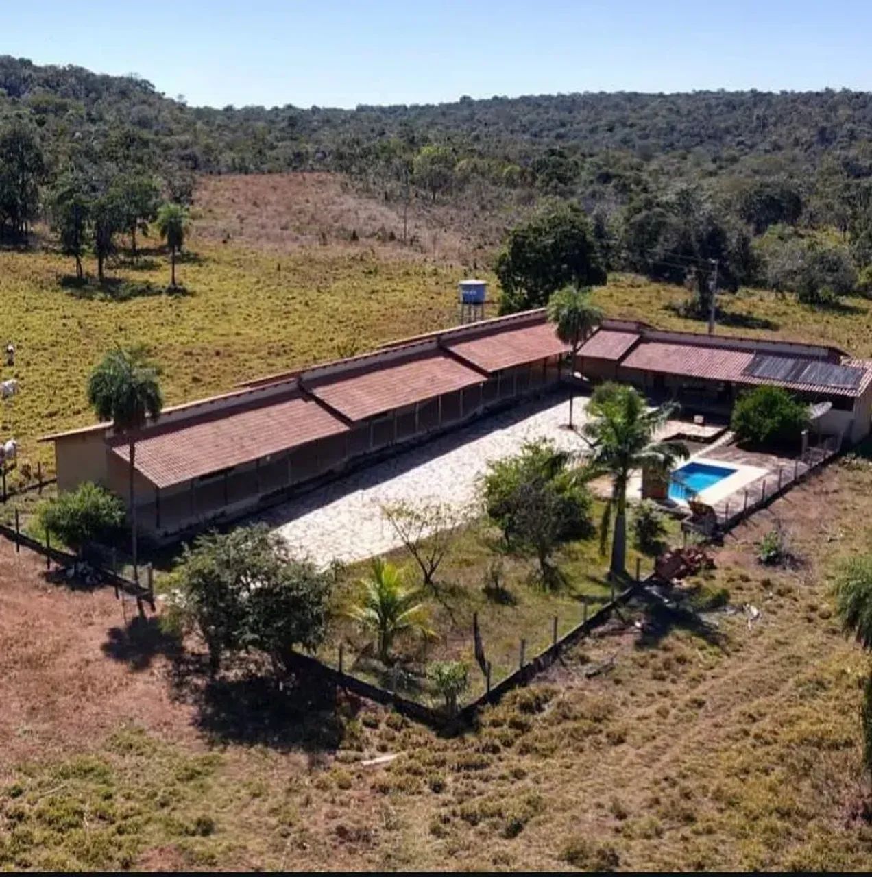 Fazenda com 82 alqueires _ Mun. Uirapuru - Foto 2