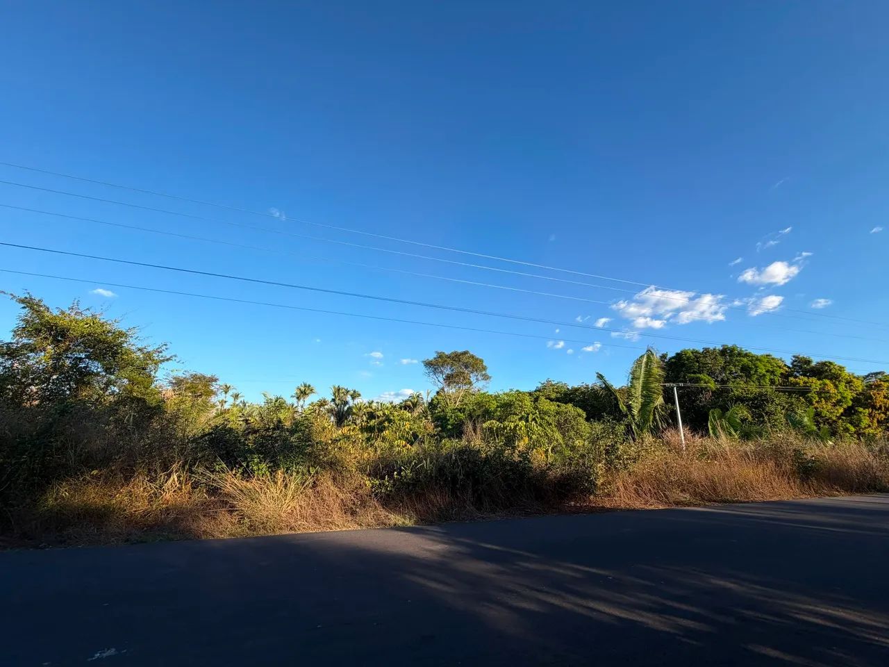 Vendem-se Lotes Povoado Criminosa - Foto 2