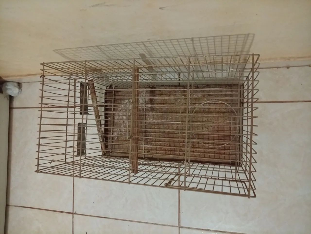 Gaiola  - Foto 2