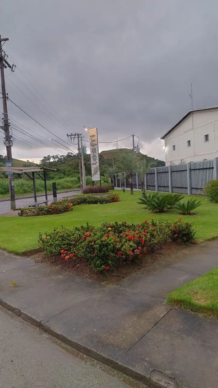 Serviços de jardim e piscinas  - Foto 3