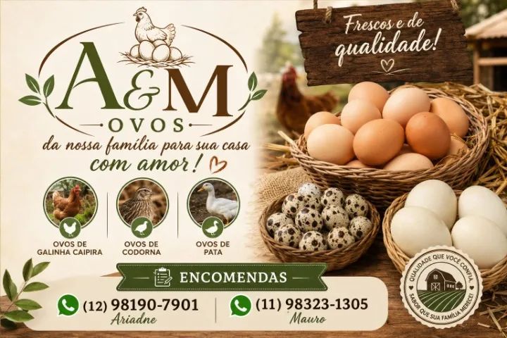 A&M Ovos 