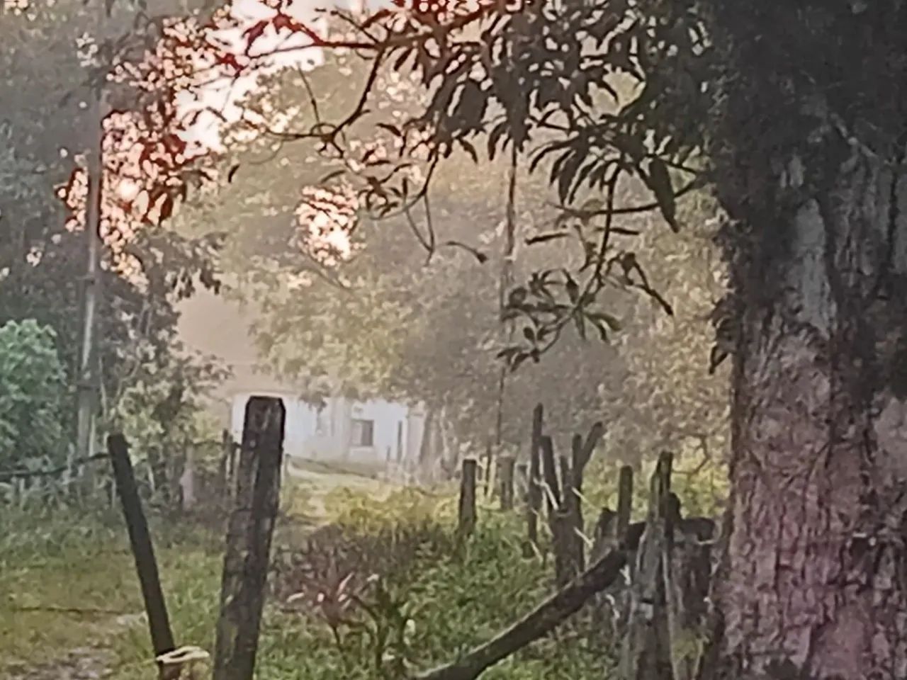 Vende-se sítio  - Foto 2