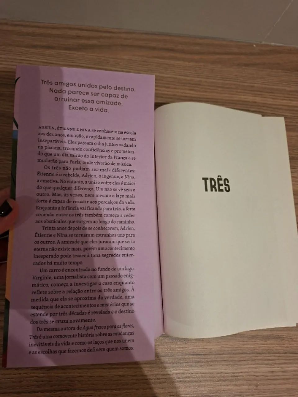 Livro Três - Foto 4