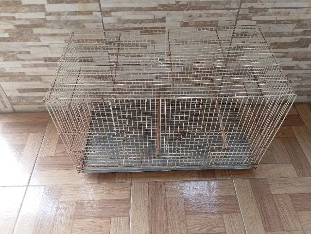 Gaiola para calopsita  - Foto 5