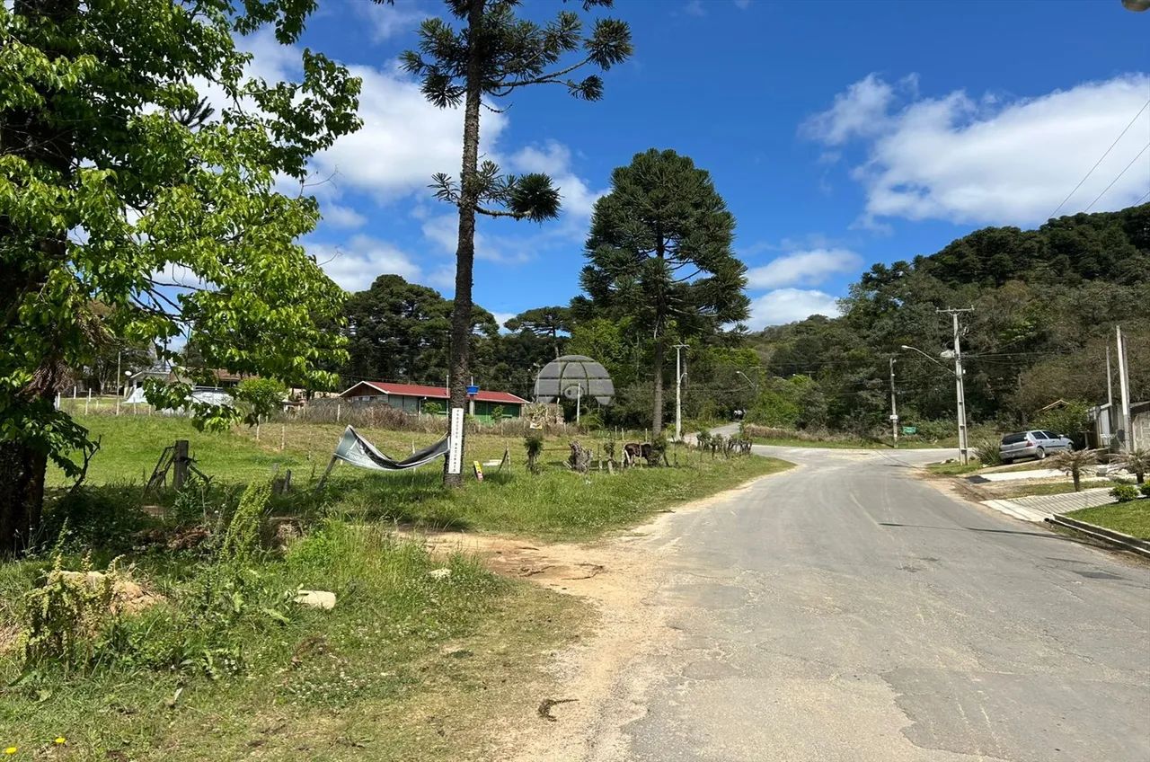 Vendas Terreno Campo Largo PR - Foto 4