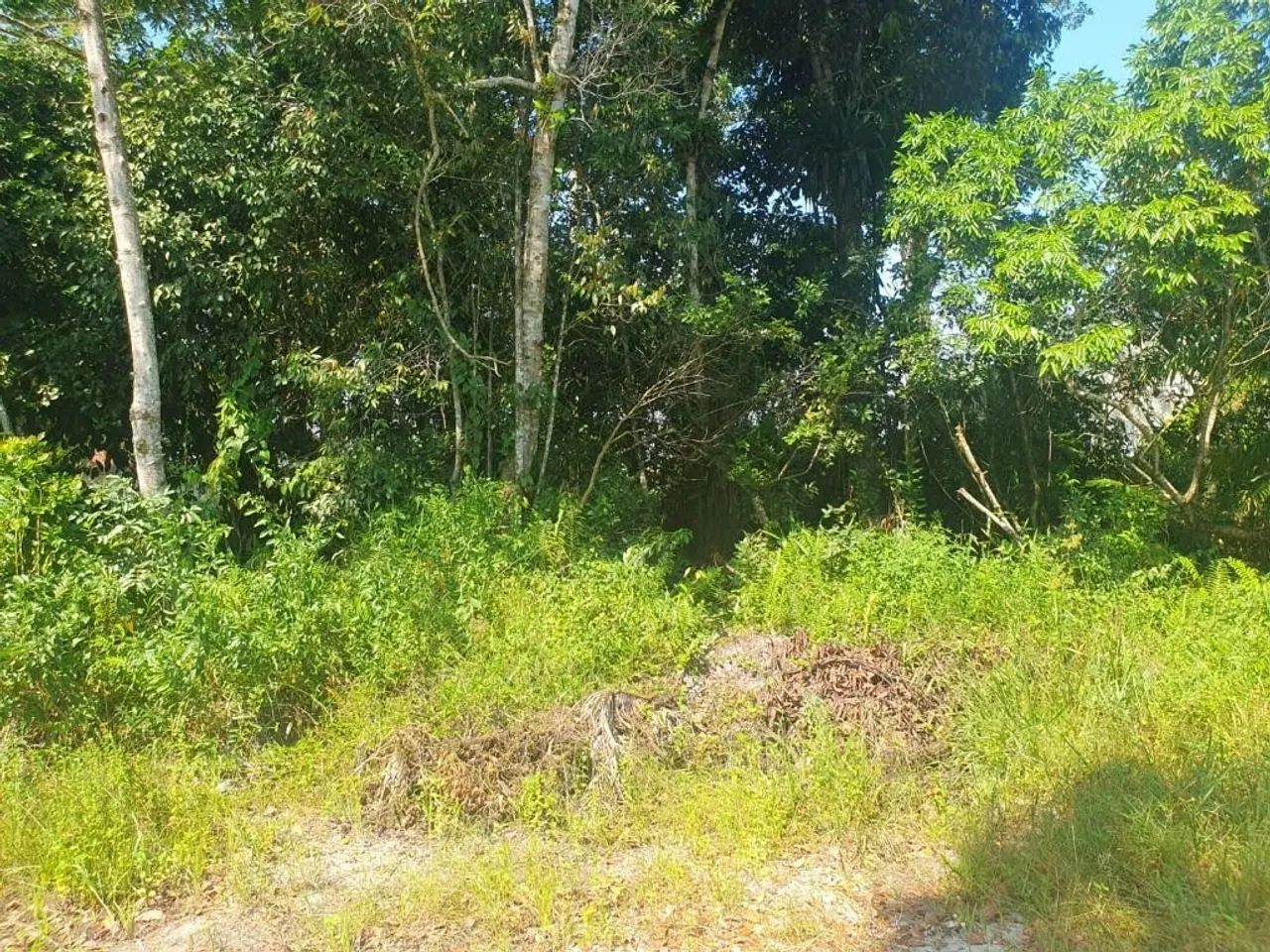 Lote / Terreno em Itapoá/SC no Brandalize - Foto 5