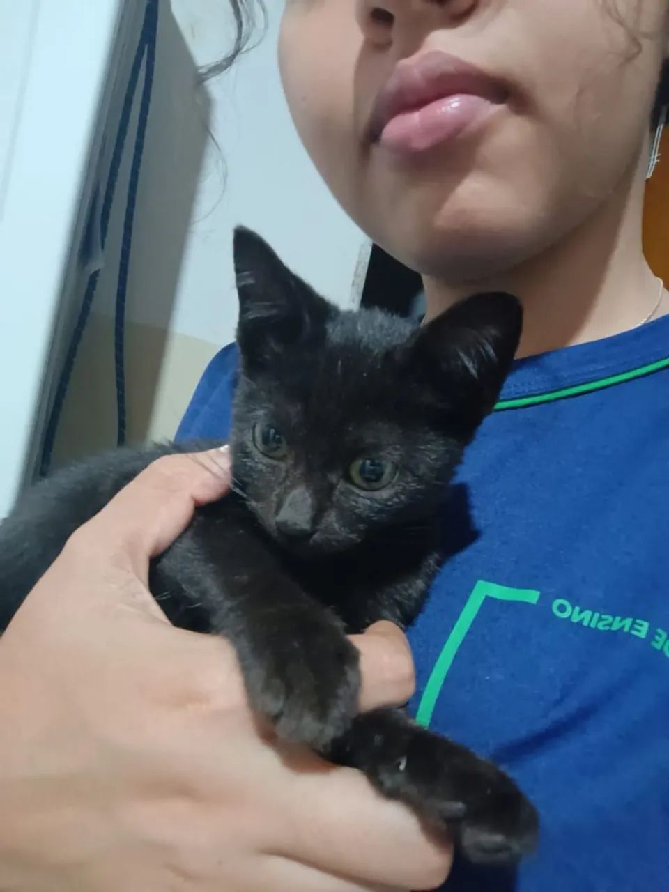 Pet Sister/Sitter Patinhas da Madu - Foto 4