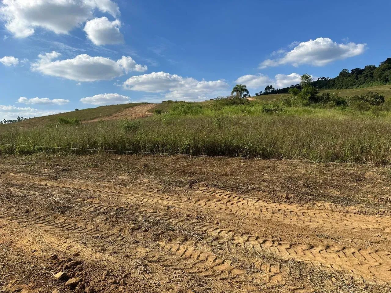Mais Espaço Para Sua Liberdade - Foto 5