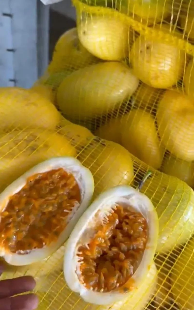Laranja  - Foto 3