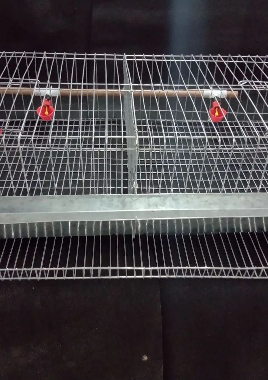 Gaiolas para Projeto de Criação de Codorna  - Foto 5